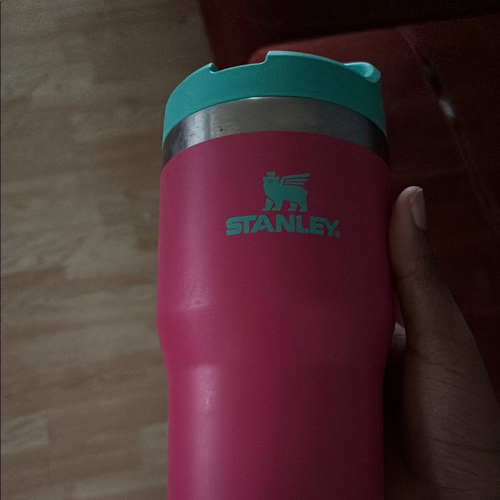 Stanley Vibrant Pink and Teal Mug